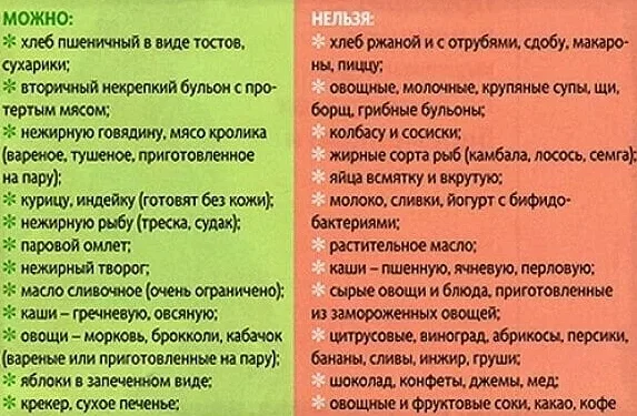 Чем кормить собаку при поносе, советы и рекомендации