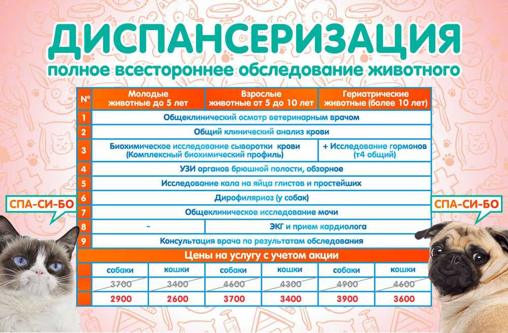 Ptichka.net — домашние питомцы