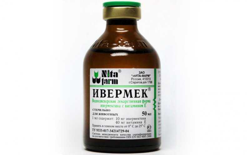 Чесотка у собаки и её лечение