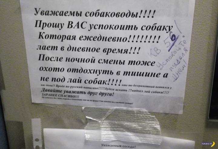 Закон о содержании собак в частном доме и многоквартирных жилых зданиях