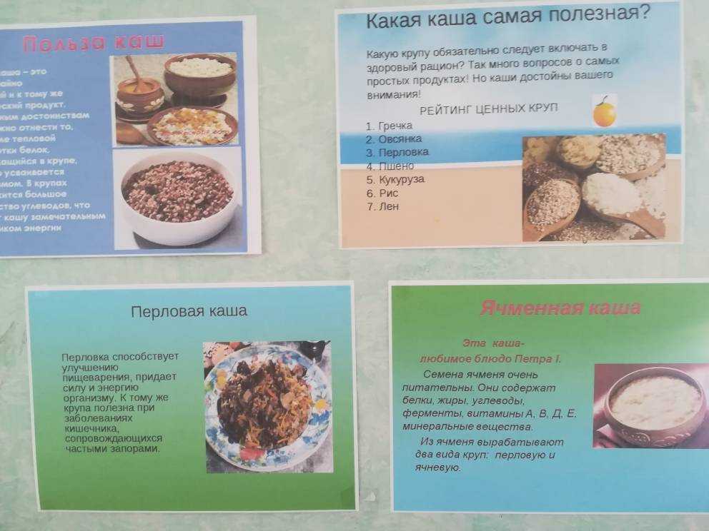 Каша для щенка: какую можно давать (пшенную, манную, овсяную, молочную), как ее варить - рецепты и стоит ли вообще ею кормить малыша?