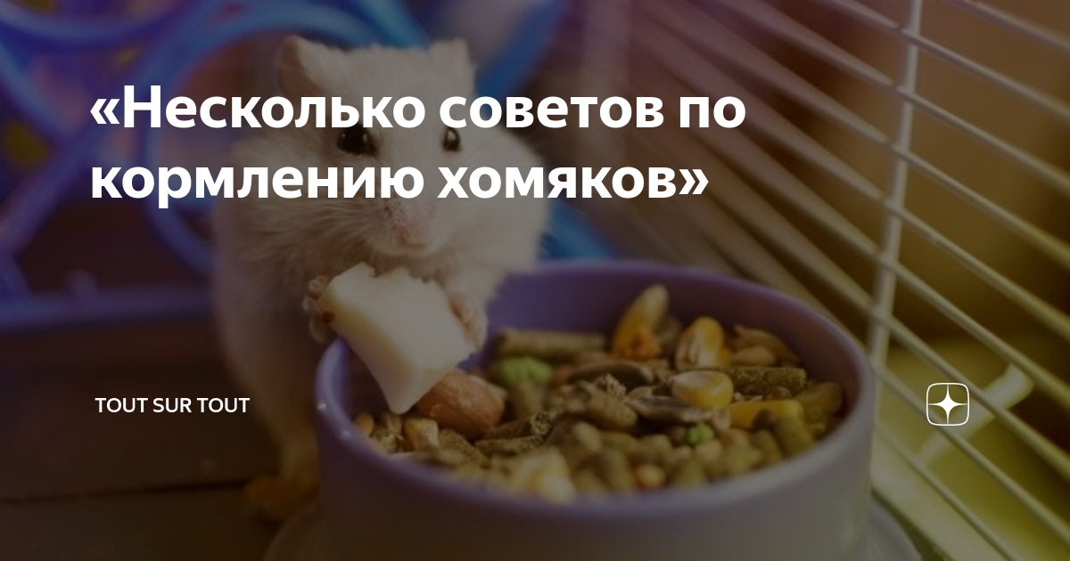 Сырое молоко: польза и вред, чем опасно и можно ли пить детям — требование к хранению, срок годности в зависимости от сорта и болезни — moloko-chr.ru