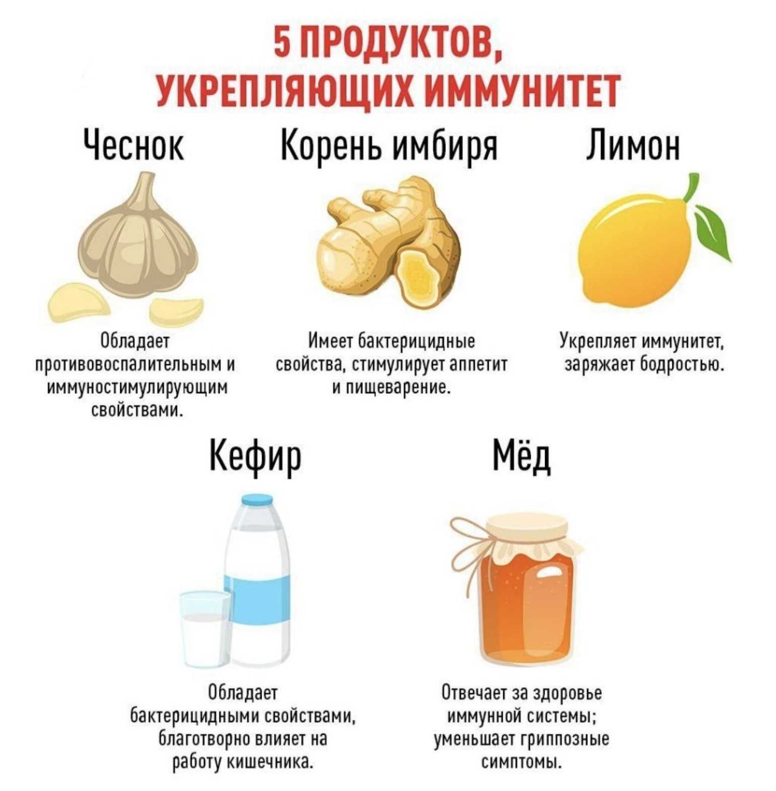 Иммуномодуляторы для собак при кожных заболеваниях