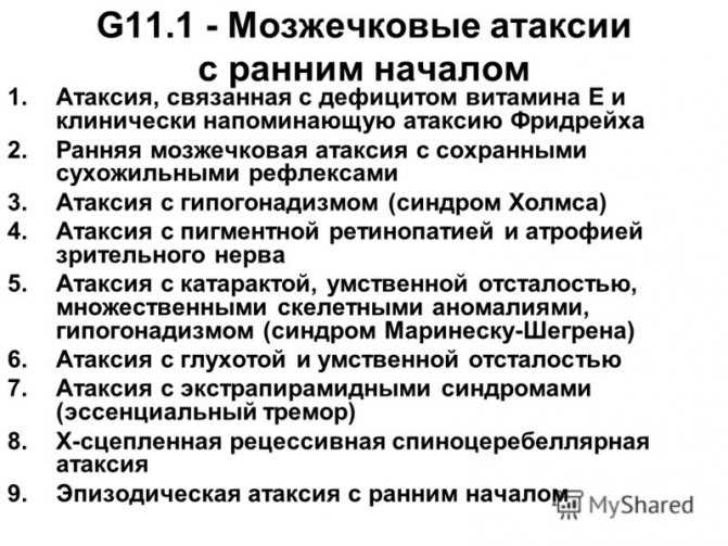 4 распространенных причины шаткой походки у кошки