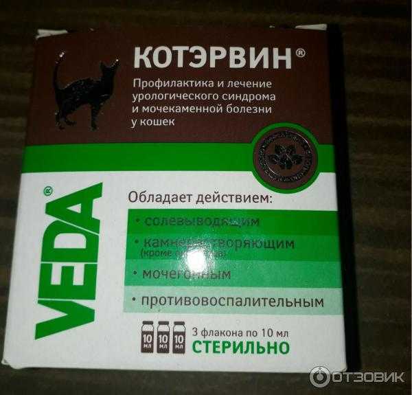 Котэрвин лекарственный препарат для кошек