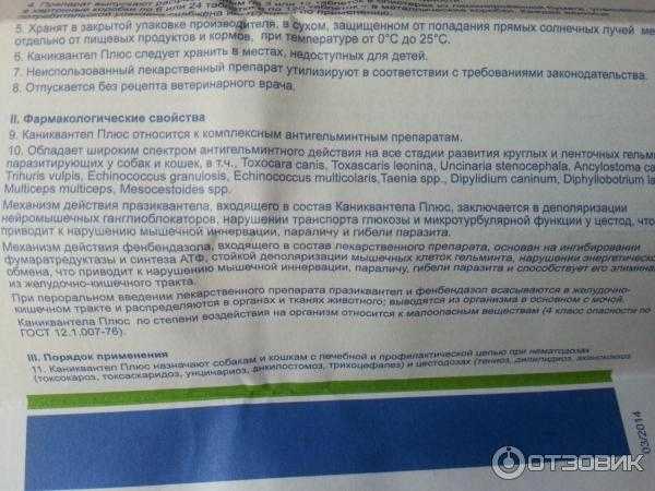 Каниквантел для собак: инструкция по применению