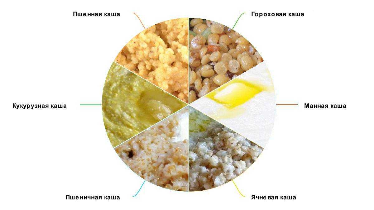 Чем нельзя кормить кошек, что нельзя давать кошке