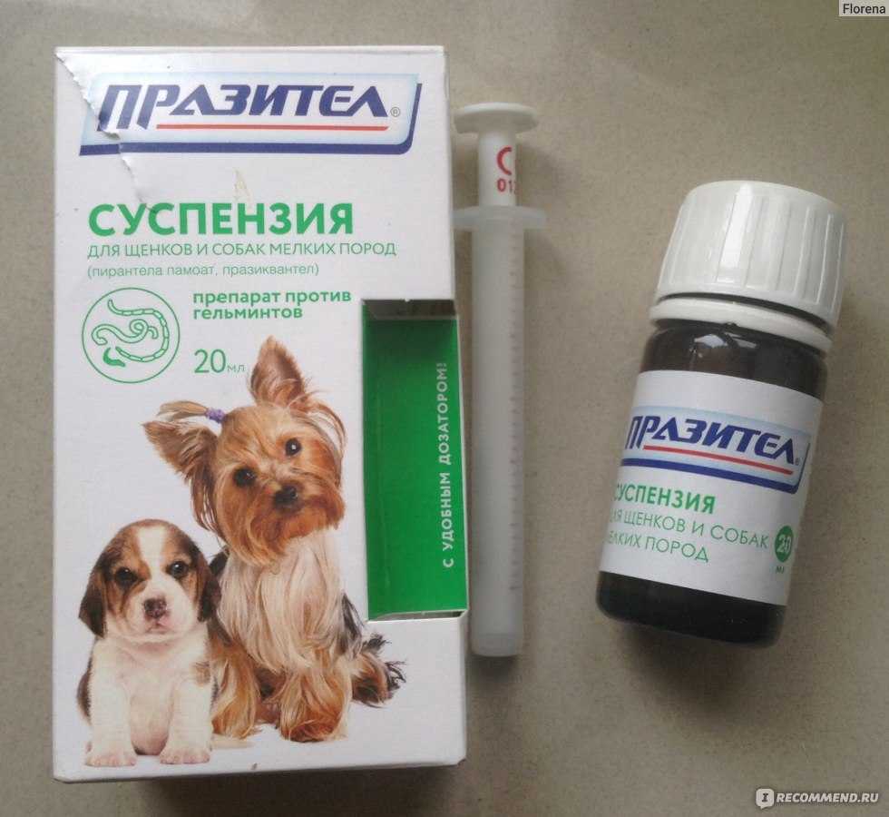 Инструкция к суспензии и таблеткам паразител для собак