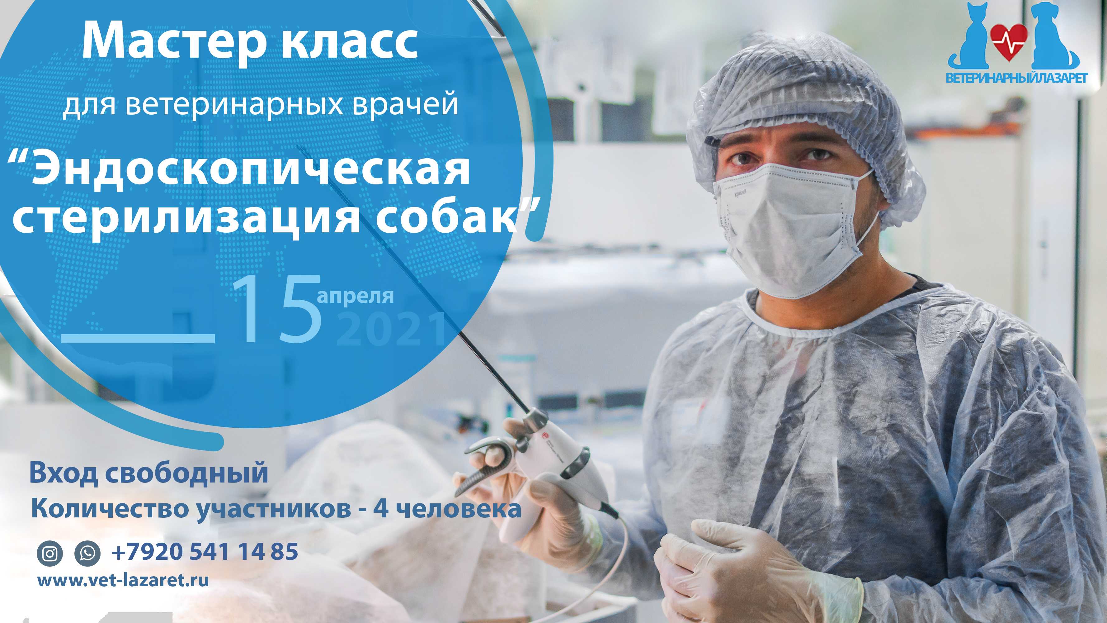 Эндоскопическая стерилизация кошек - плюсы и минусы