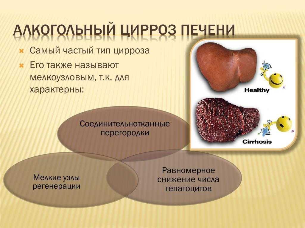 Цефтриаксон для кошек: как применять по инструкции в ветеринарии, дозировка внутримышечно, как разводить с новокаином, можно для котят, куда колоть