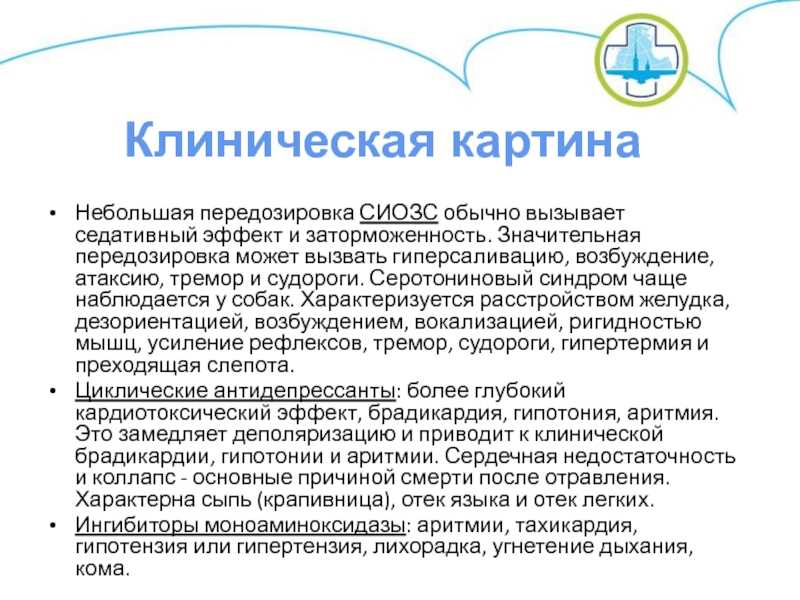 Мозжечковая атаксия у кошек: причины, симптомы, лечение, восстановительный период и советы ветеринаров. атаксия у кошек: как проявляется и чем лечить