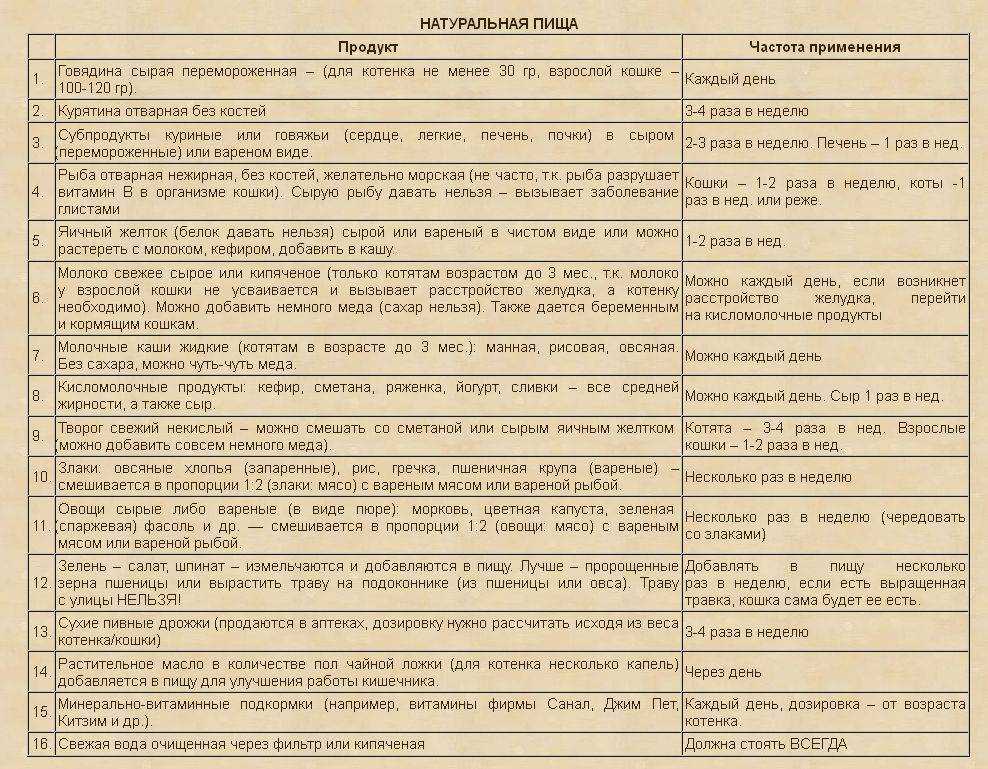 Когда котята начинают ходить в туалет самостоятельно и есть сами