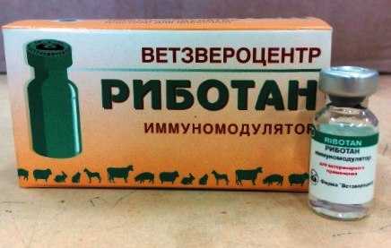 Риботан для собак – средство, повышающее иммунитет