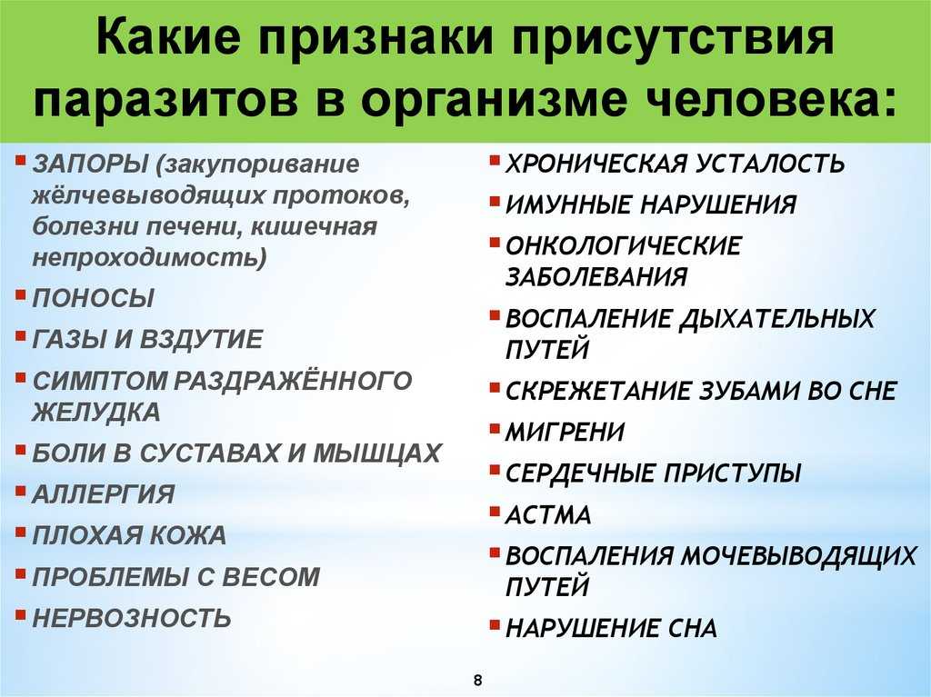 Круглые глисты у собак: виды, пути заражения и лечение | звери дома