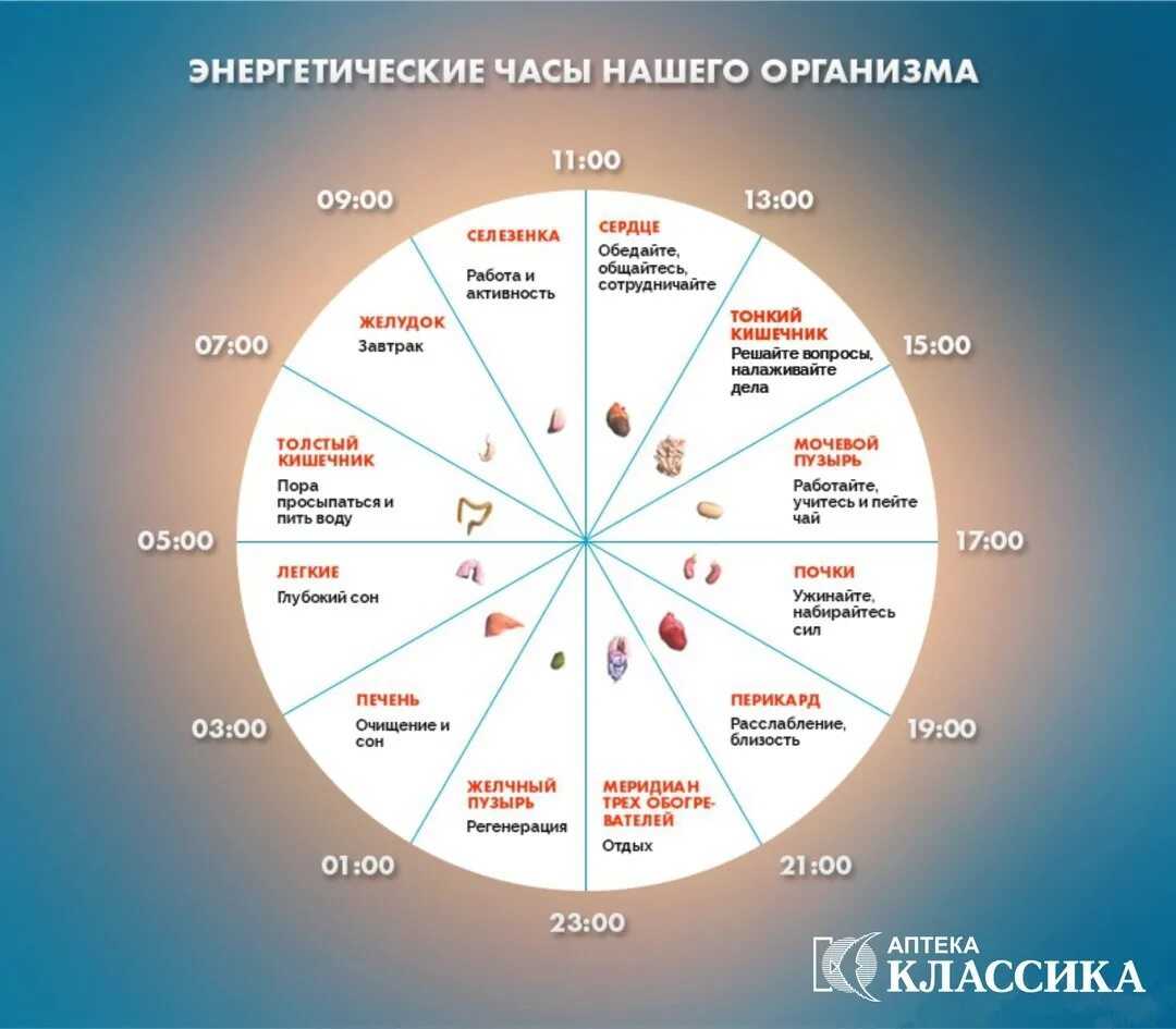 Почему моя кошка не спит ночью?