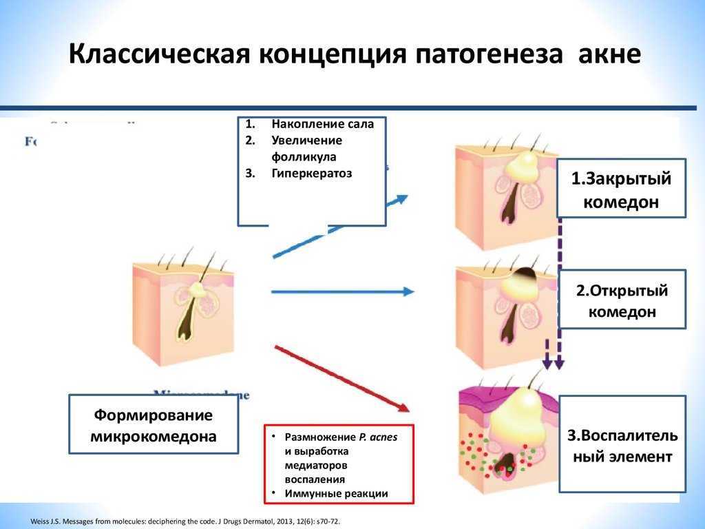 Акне у кошек