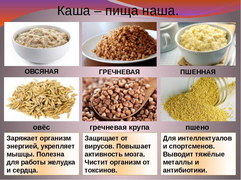 Можно ли собакам овощи