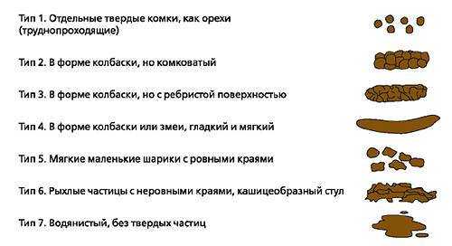 Запор у собаки: что делать в домашних условиях, чем лечить, какие слабительные помогут