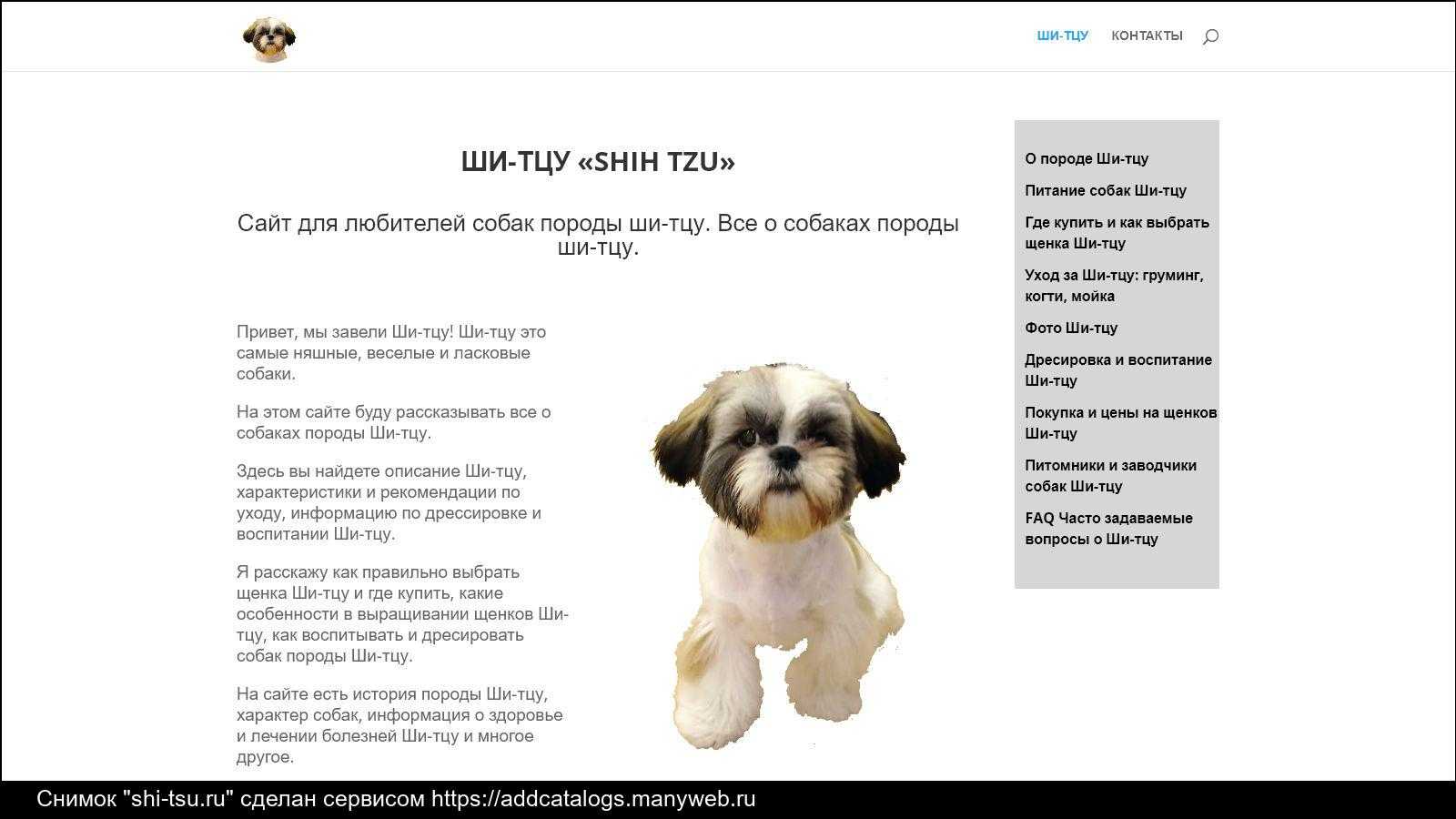 Ши-тцу — уход и содержание в домашних условиях, забота о здоровье