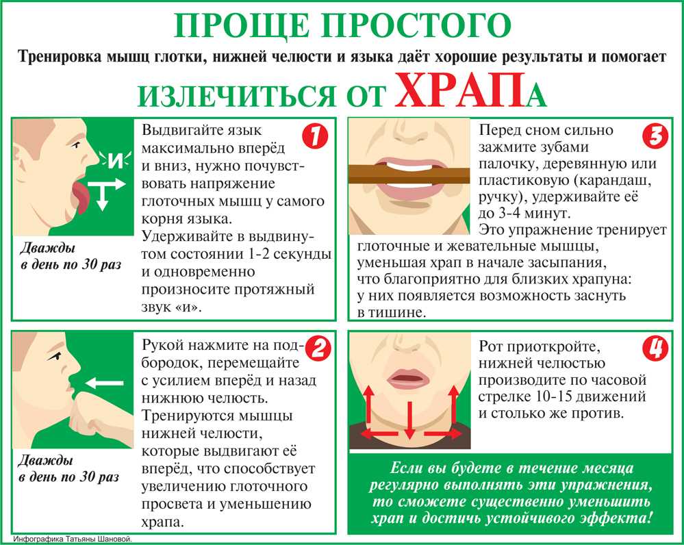 Почему щенок храпит во сне. почему собака храпит и что делать? что делать если собака хрюкает носом
