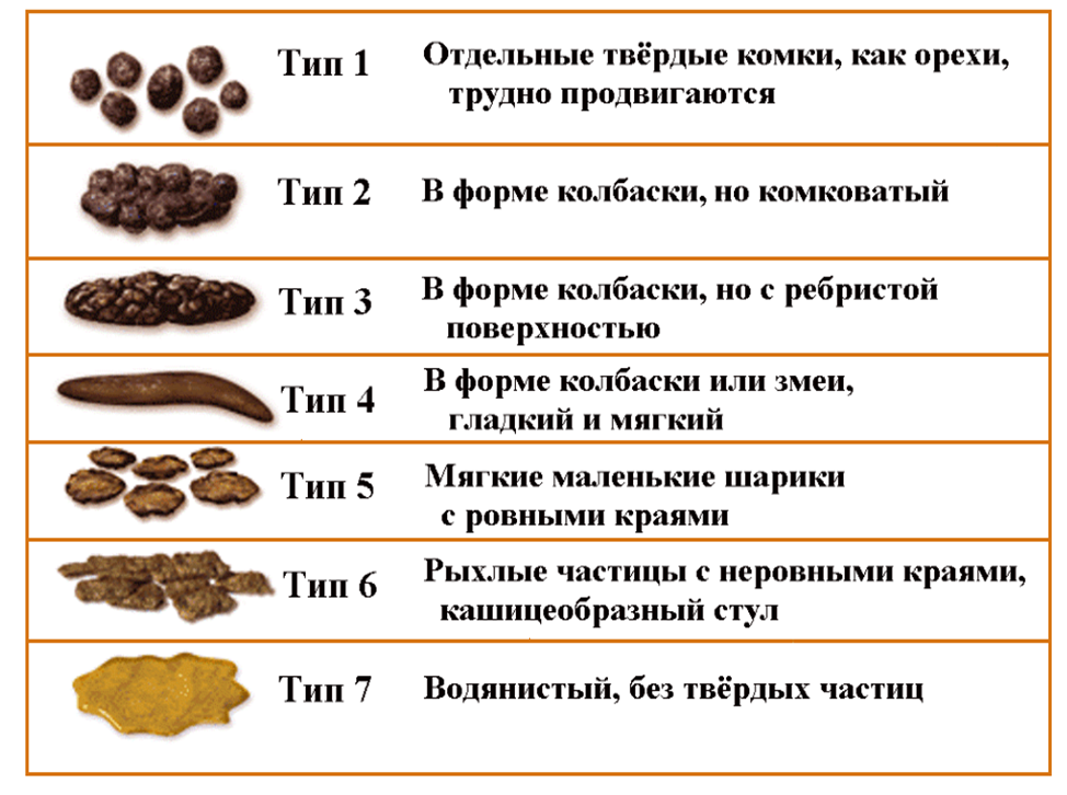 Понос у щенка: что делать | 4 причины - одно лечение