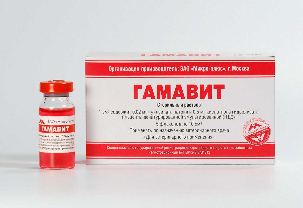 Гамавит для собак