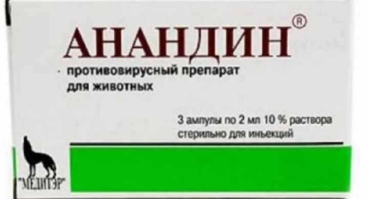 Анандин для кошек: инструкция по применению глазных капель и мази, дозировка препарата в ампулах для уколов. можно ли капать лекарство в нос и уши месячным котятам?