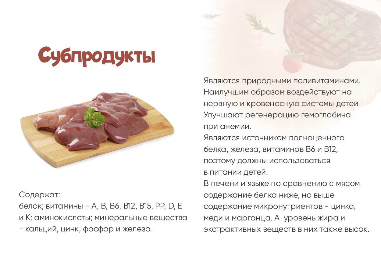 Каким мясом можно и нельзя кормить собаку