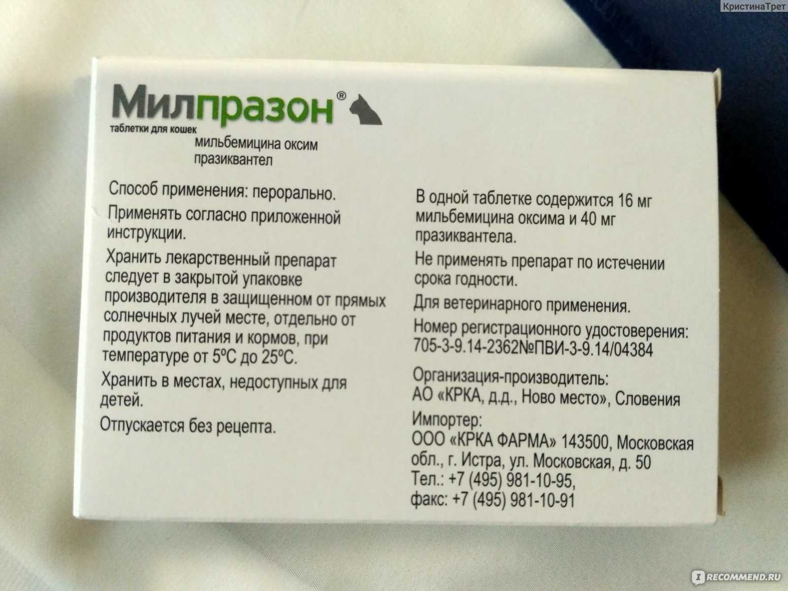 Препарат ацилок при лечении заболеваний жкт у кошек