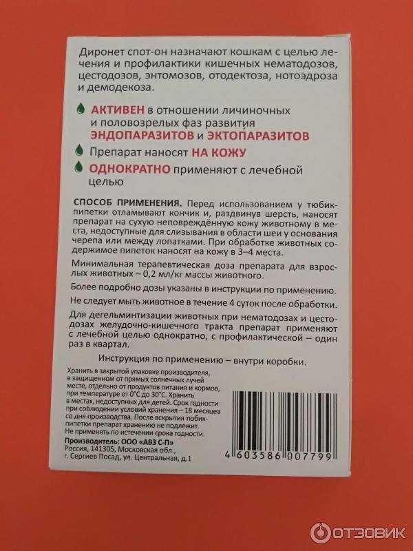 10 лучших средств от гуляния кошек