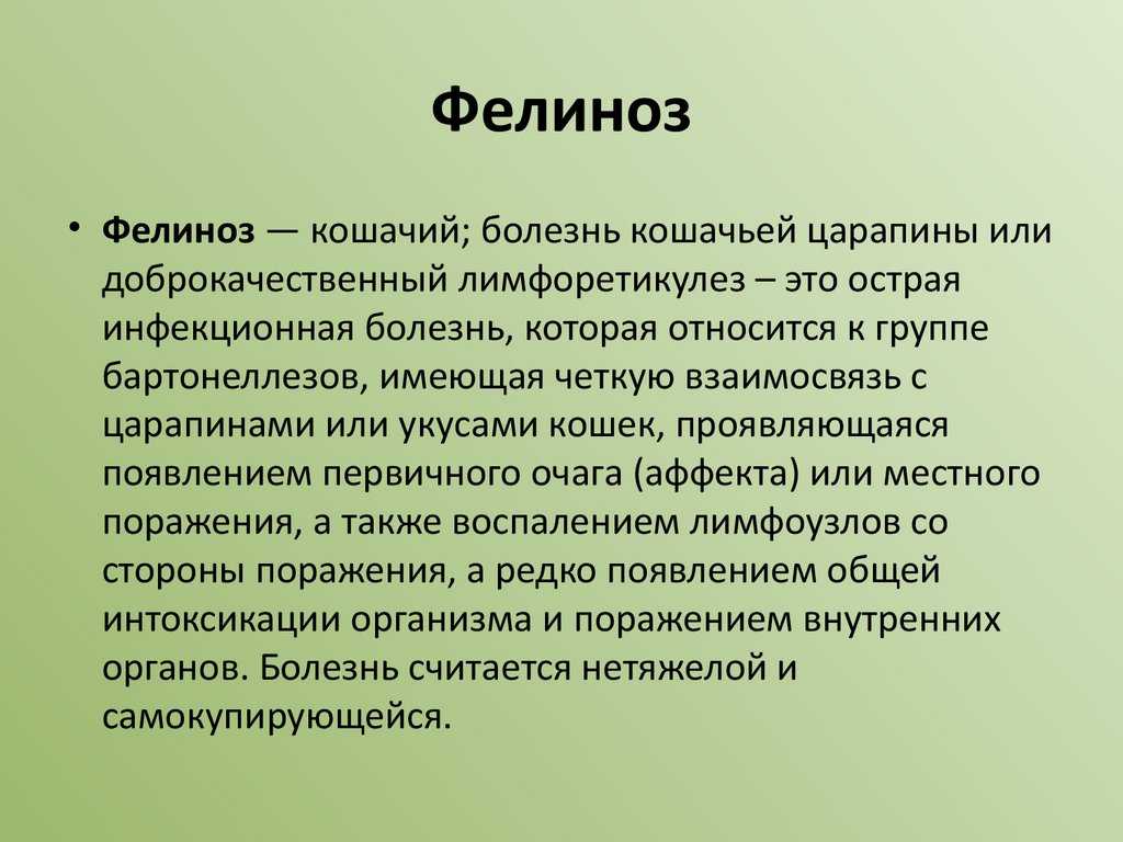 Столбняк симптомы у кошек при