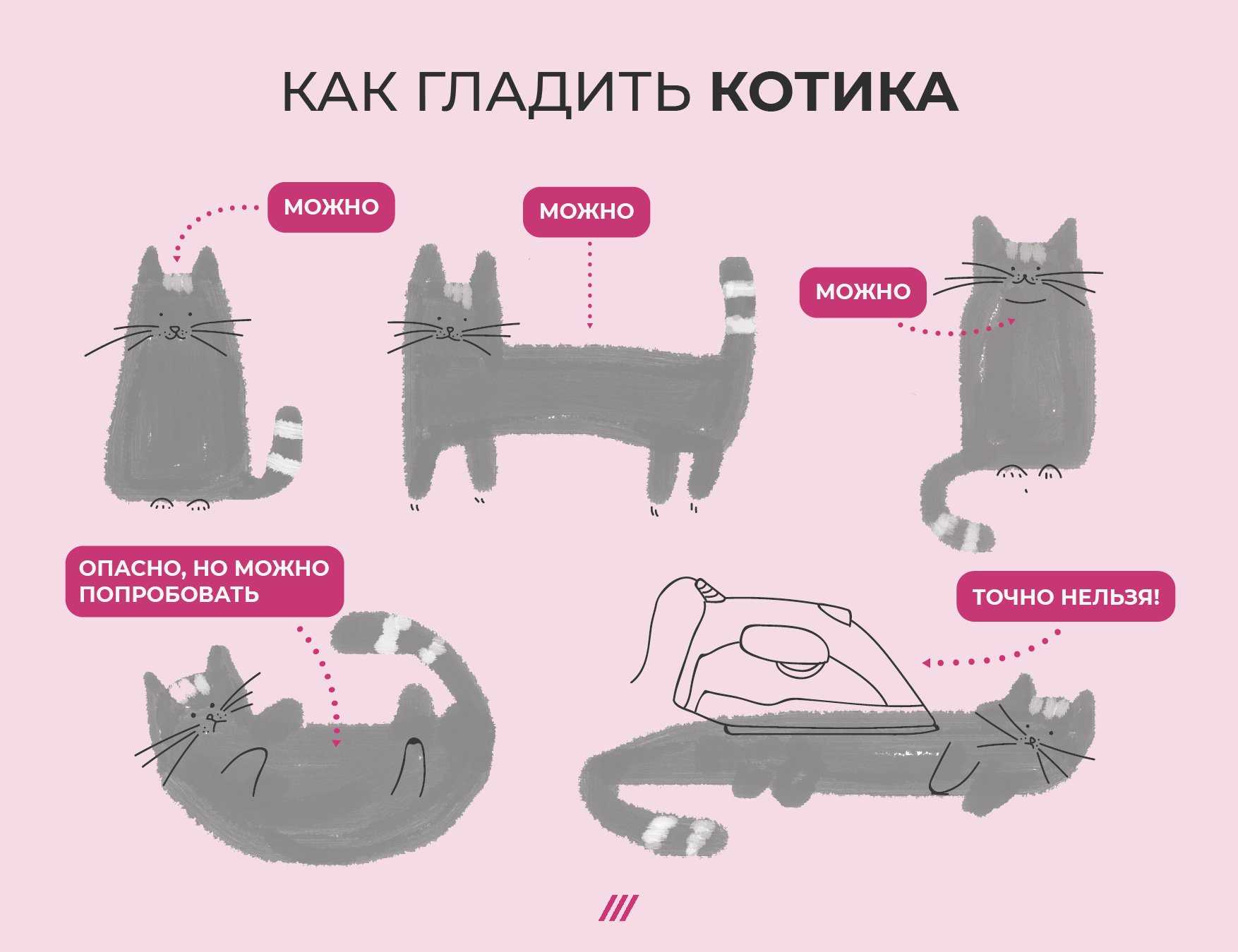 Почему кошка боится всего, пугается, прячется, что делать: причины слишком тревожного состояния кота