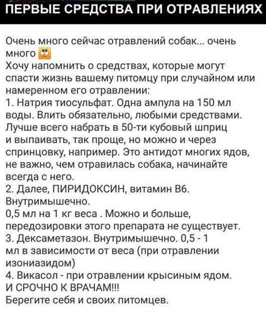 Отравление собаки догхантерами