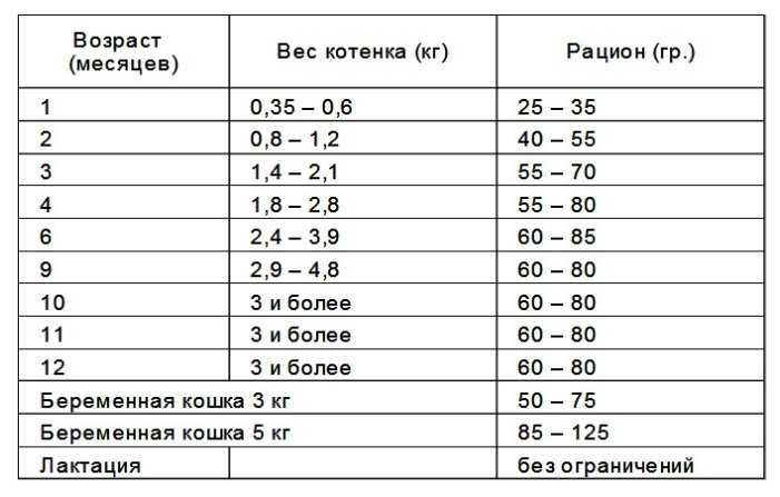 Вес котенка по месяцам: таблица (средние показатели и значения для популярных пород), нормы прибавки, правила взвешивания питомца