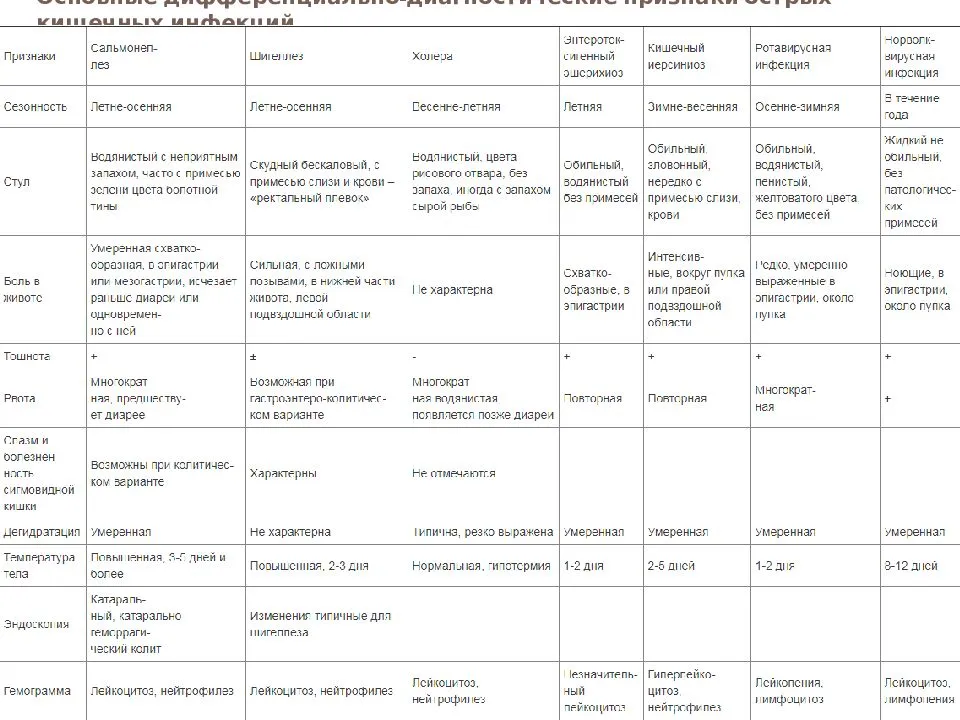 Самые распространенные проблемы с пищеварительной системой у собак