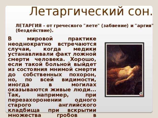 Неотложные состояния у кошек. кома у кошек – причины и симптомы патологии неотложные состояния у кошек