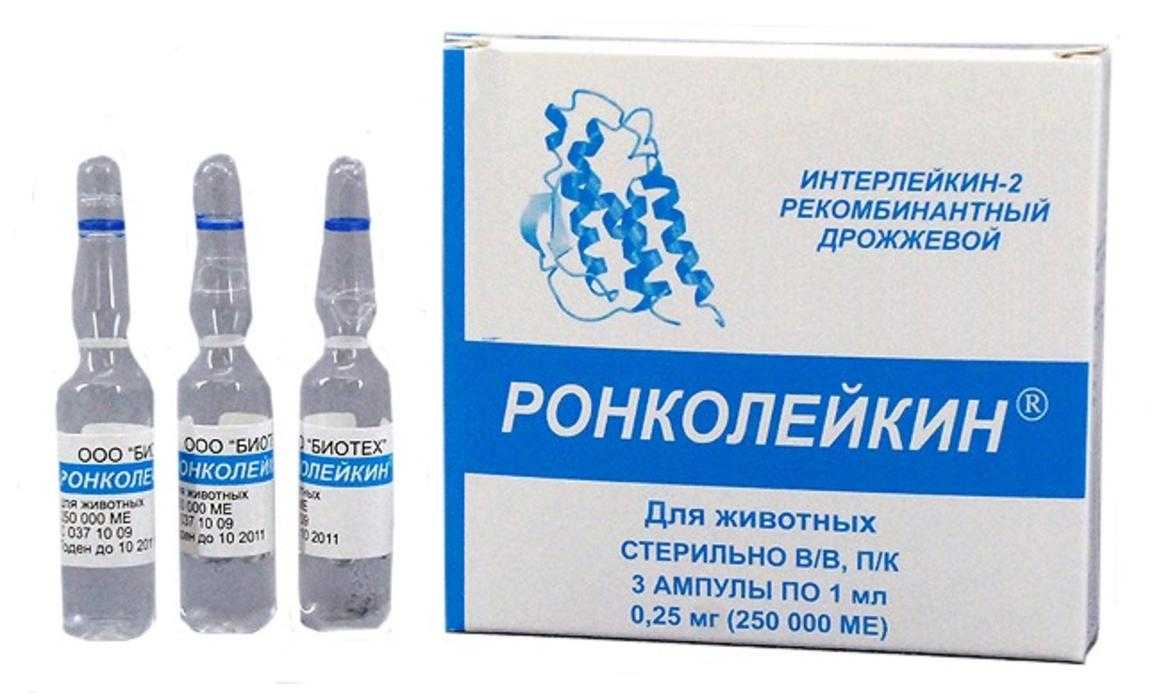 Ронколейкин для кошек