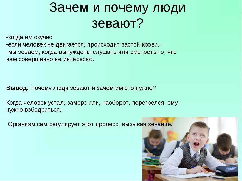 Кошка часто зевает причины. естественное и вынужденное зевание – как отличить