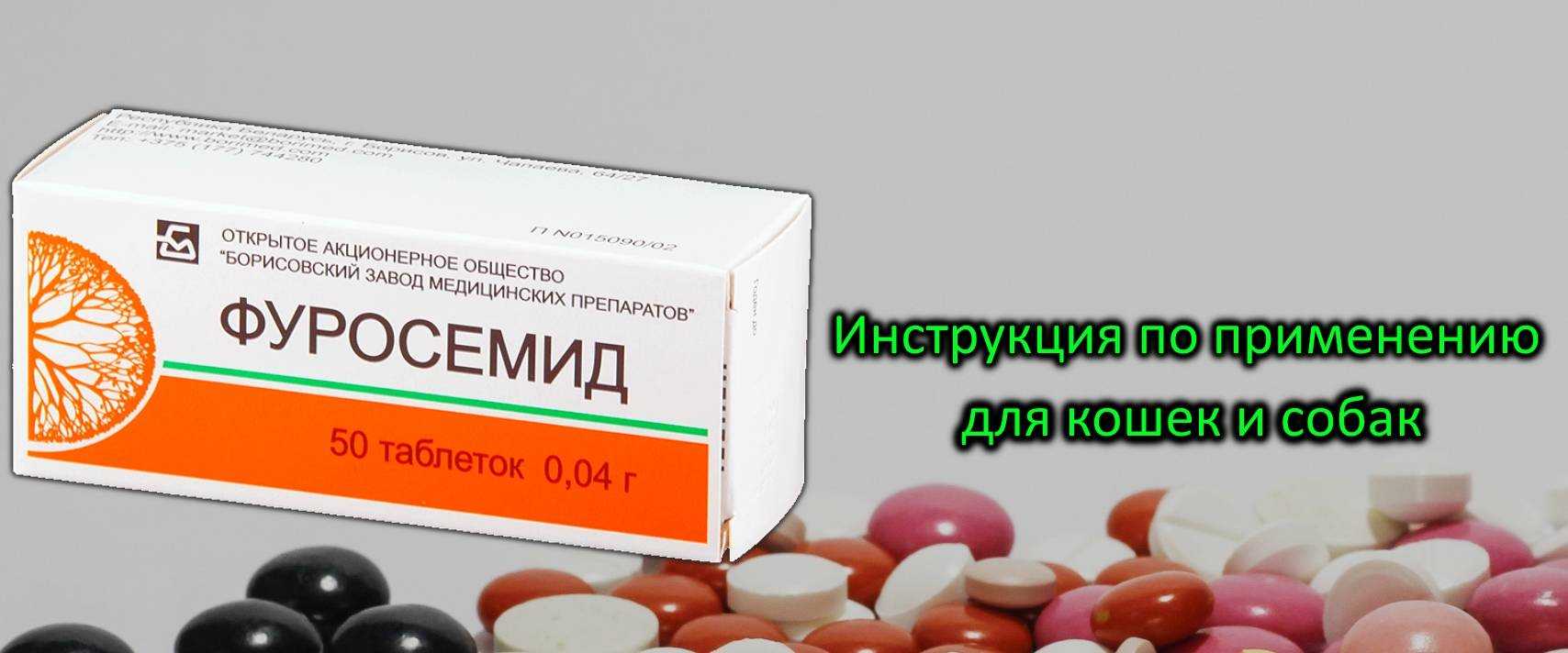 Применение таблеток изониазид для собак – инструкция