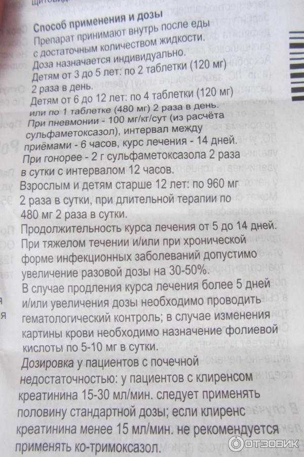 Антибиотики для собак: какой можно давать, список, в таблетках, уколы, собака после антибиотиков - zoosecrets