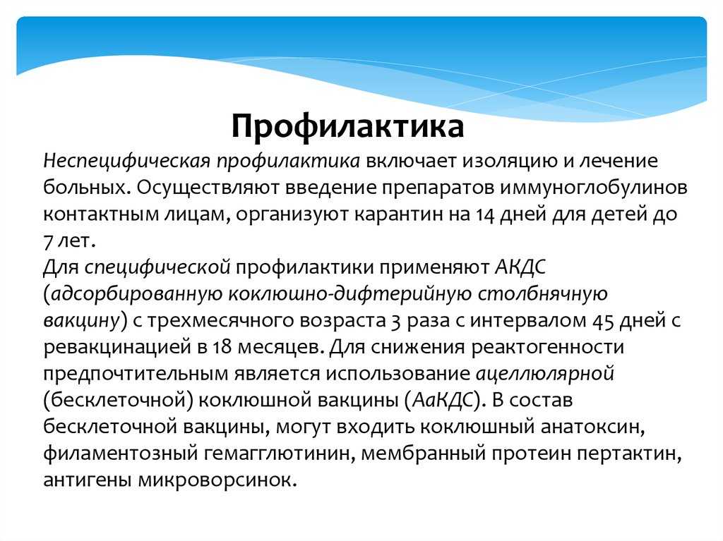 Бордетеллез у кошек