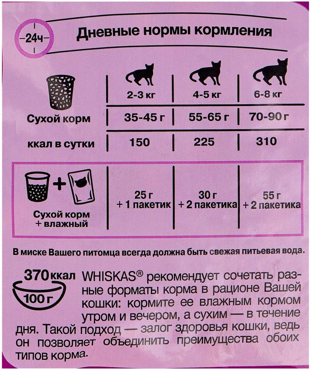 С какого возраста котенку можно давать яйцо, польза яиц для котенка