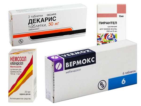 Можно ли кошке дать вермокс от глистов: