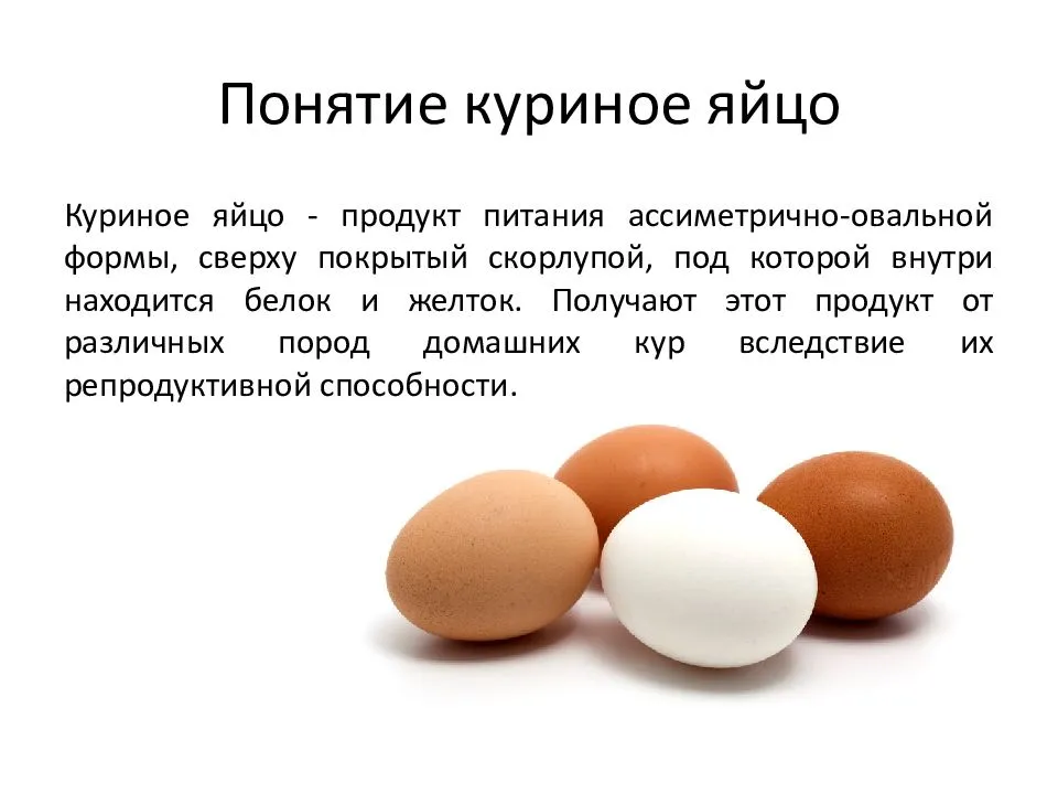 Можно ли кошкам яйца: в чем их польза и вред, кому можно и нельзя, как давать