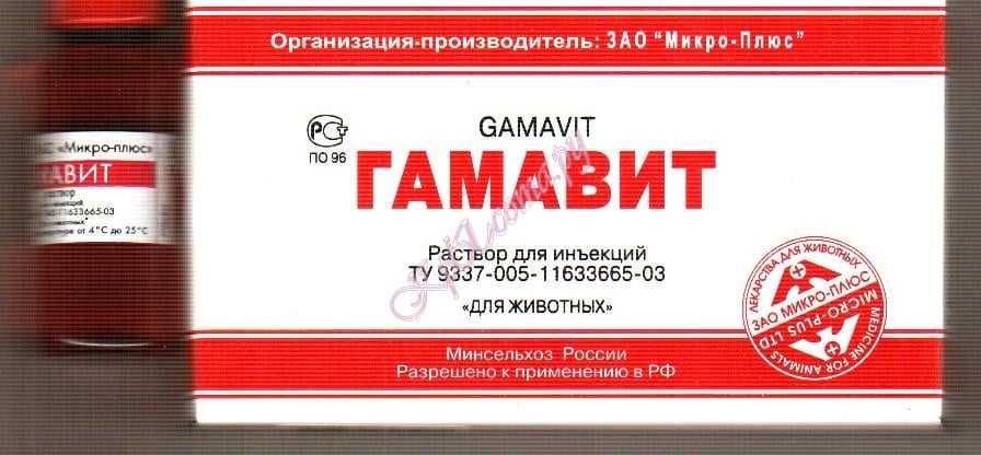 Гамавит для собак: инструкция по применению с дозировкой, аналогами, составом препарата и отзывами. как и куда колоть эти витамины щенкам и для чего они нужны?