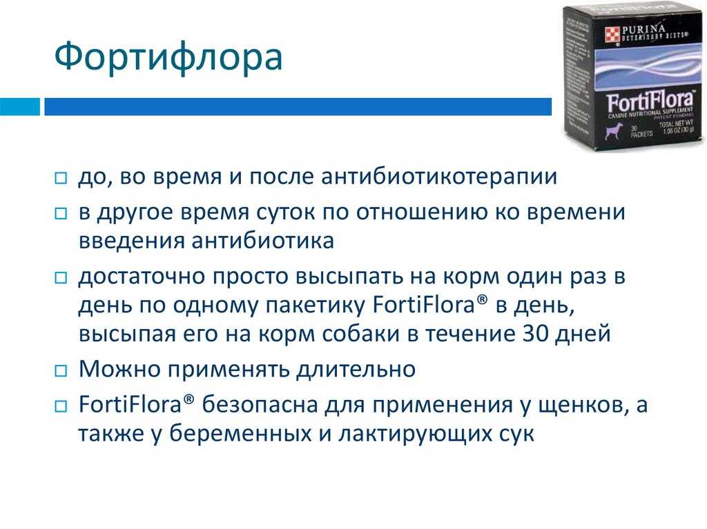 Фортифлора для кошек - инструкция по применению препарата