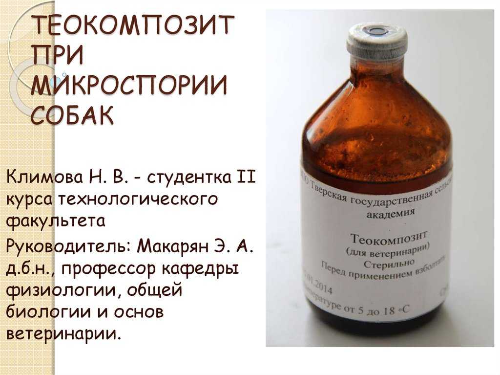 Лишай у собаки, фото, признаки и лечение