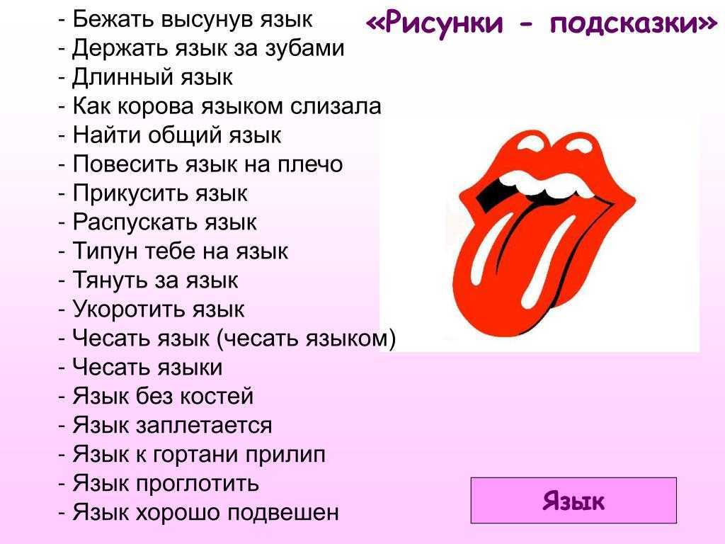 Смена зубов у котят