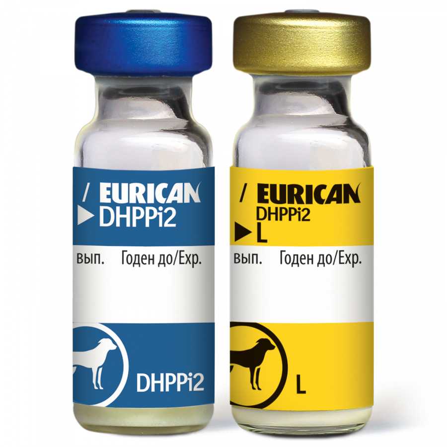 Инструкция по применению вакцины  эурикан dhppi (dhppi2, dhppi2 lr и dhppi2 l) для собак. состав, упаковка, показания и противопоказания, особенности применения вакцины eurican dhppi2-l