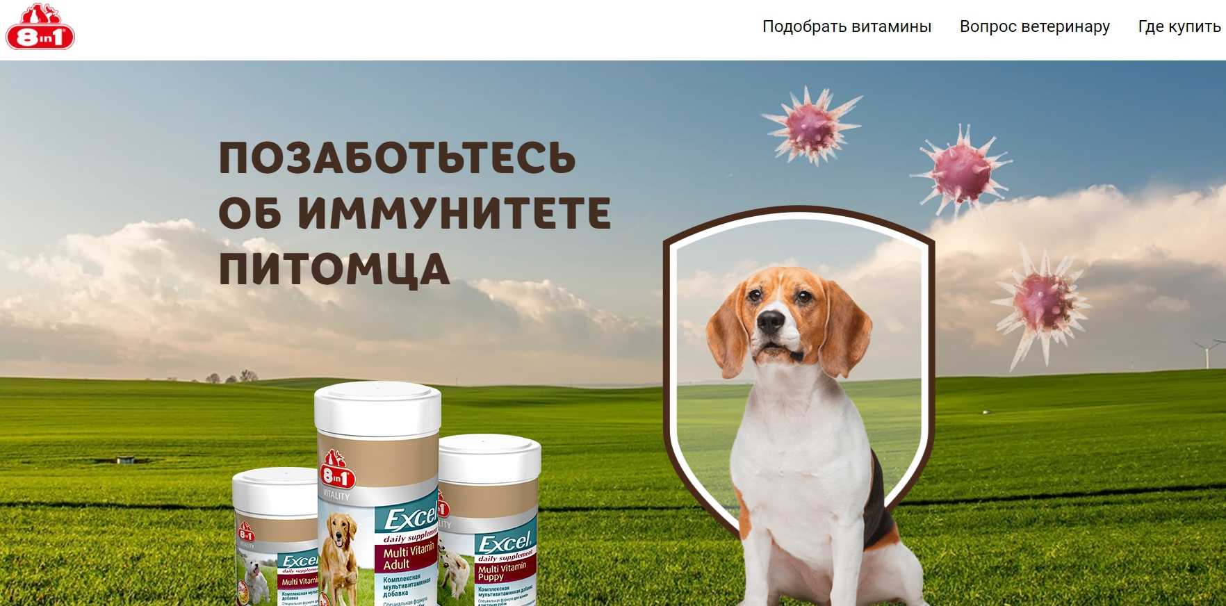 Какие витамины дать собаке для иммунитета. главные правила, как поднять иммунитет собаке